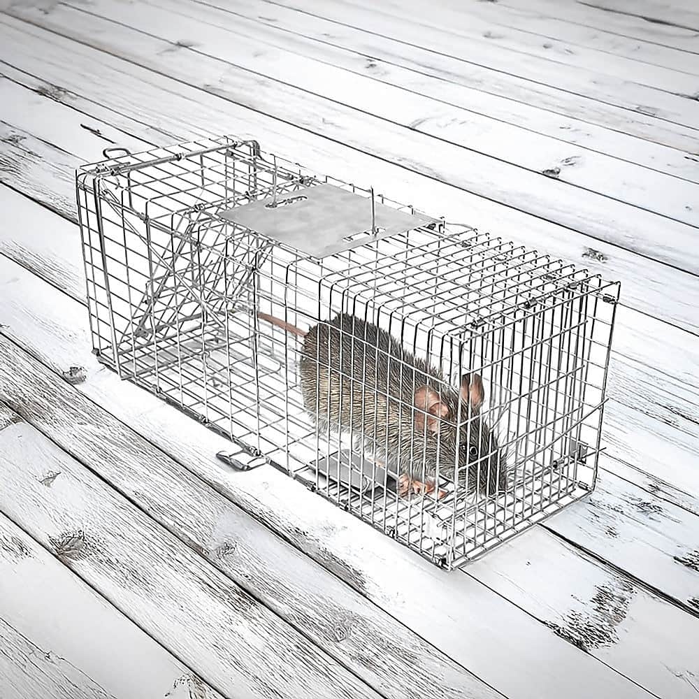 Trap Humane Possum Cage Live Animal Safe Catch Rabbit Cat Hare Fox Bird
