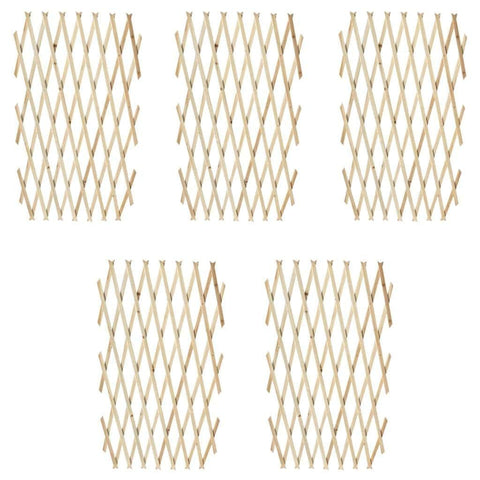 Trellis Fence 5 pcs Solid Wood