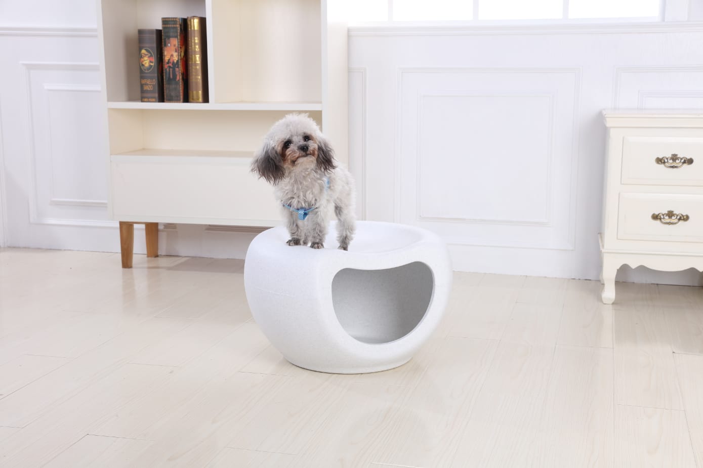 Cat Kitten Bed Cave Small Dog House Kennel Plastic Pet Pod Bedding Igloo White | White colour