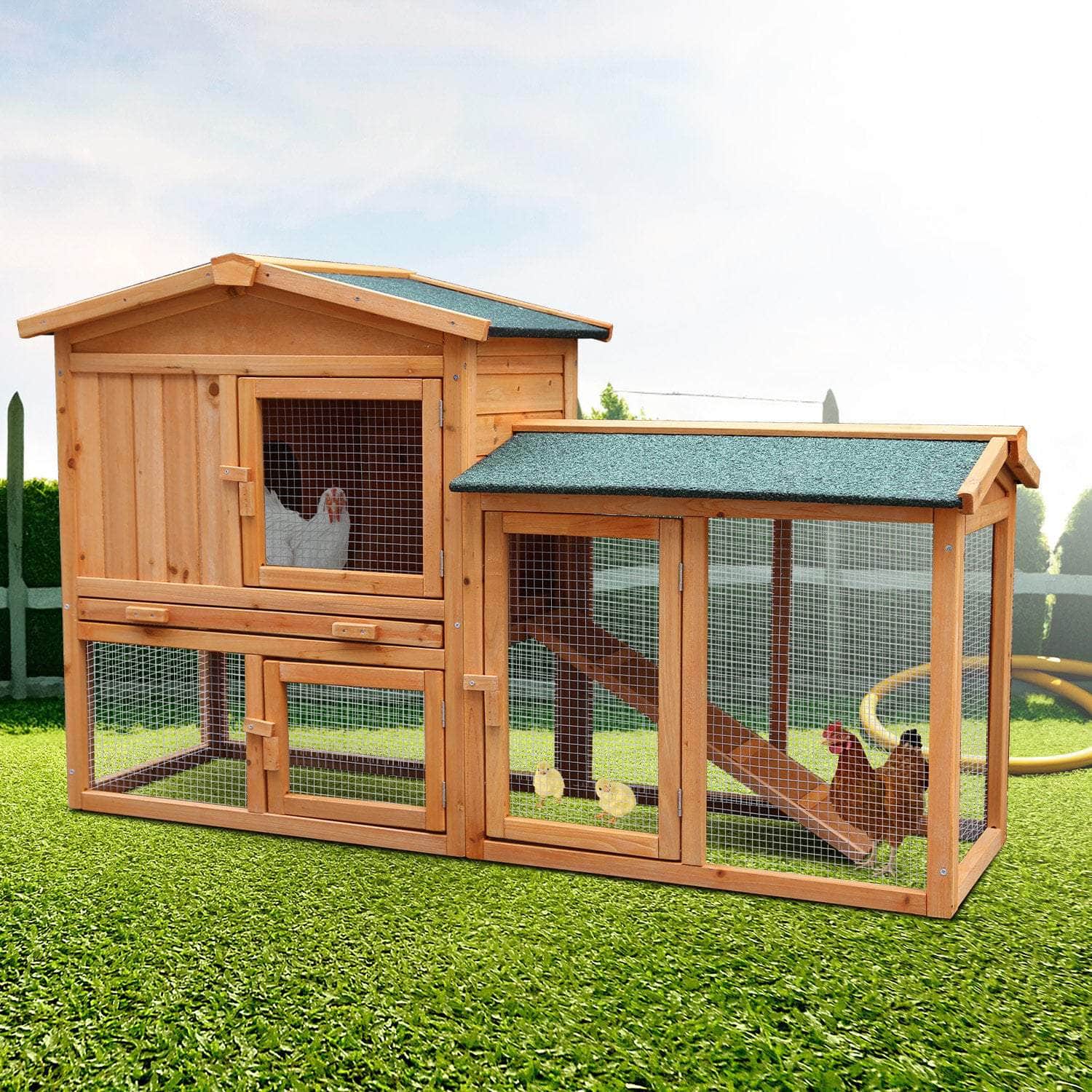 Spacious Wooden Chicken Coop & Rabbit Hutch + Ramp, living > pets