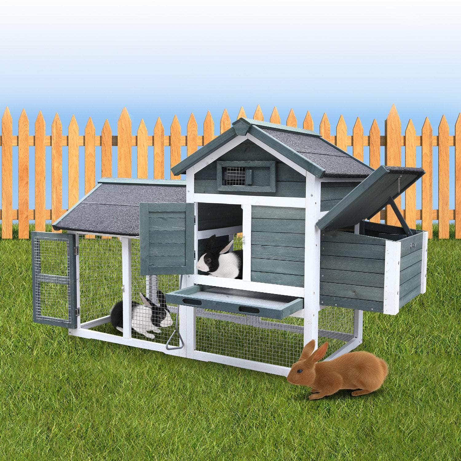 Spacious Chicken Coop & Rabbit Hutch - Green, living > pets