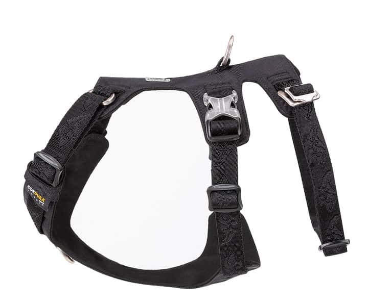 Whinhyepet Dog Harness Black XS - Adjustable Pet Safety Vest