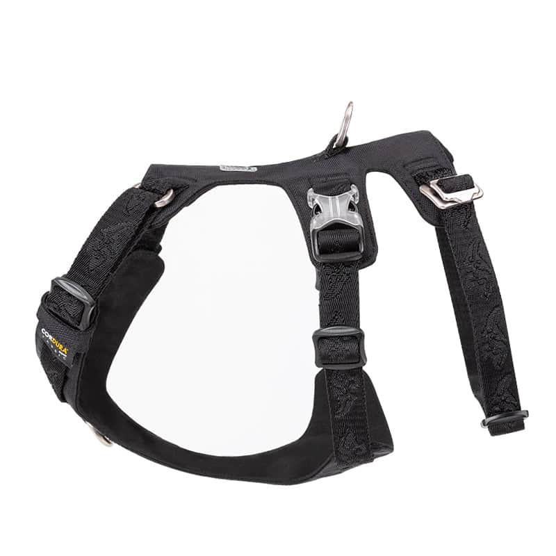 Whinhyepet Dog Harness Black XS - Adjustable Pet Safety Vest