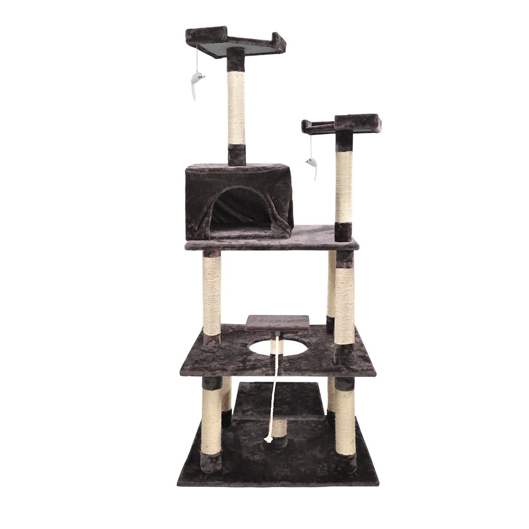 Pet Products 1.98M Cat Scratching Post Tree Dark Brown