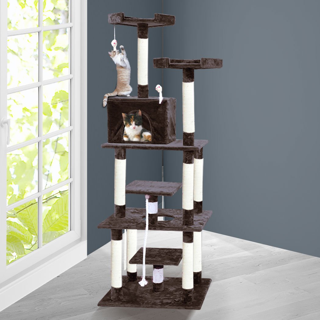 Pet Products 1.98M Cat Scratching Post Tree Dark Brown