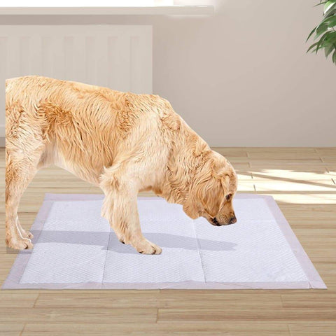 pet products 100 Pcs 60X60 Cm Pet Puppy Dog Toilet Training Pads