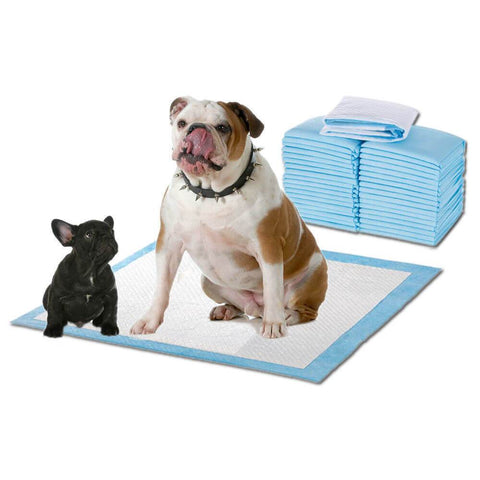 pet products 100 Pcs 60x60cm Ultra Absorbent Puppy Pet Dog Cat Toilet Training Pads Blue