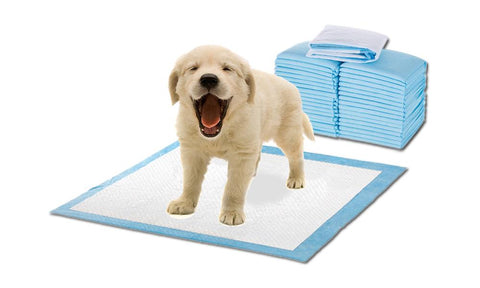 100 Pcs 60x60cm Ultra Absorbent Puppy Pet Dog Cat Toilet Training Pads Blue