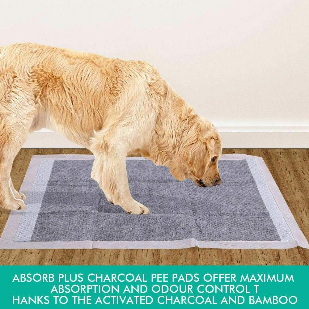 pet products 200 Pcs 60x60cm Charcoal Pet Puppy Dog Toilet Training Pads Ultra Absorbent