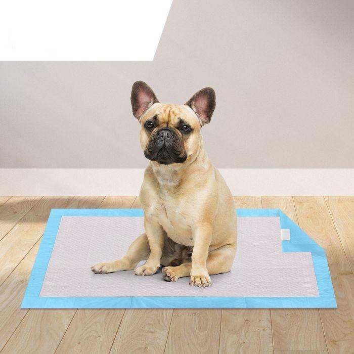 200pcs 60x60cm Puppy Pet Dog Indoor Cat Toilet Training Pads
