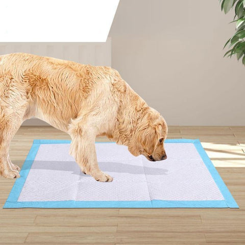200pcs 60x60cm Puppy Pet Dog Indoor Cat Toilet Training Pads