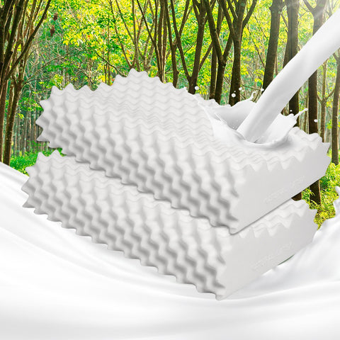 Pillows 2x Natural Latex Memory Down Pillow Removable Cover