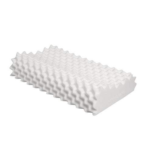 2x Natural Latex Memory Down Pillow Removable Cover