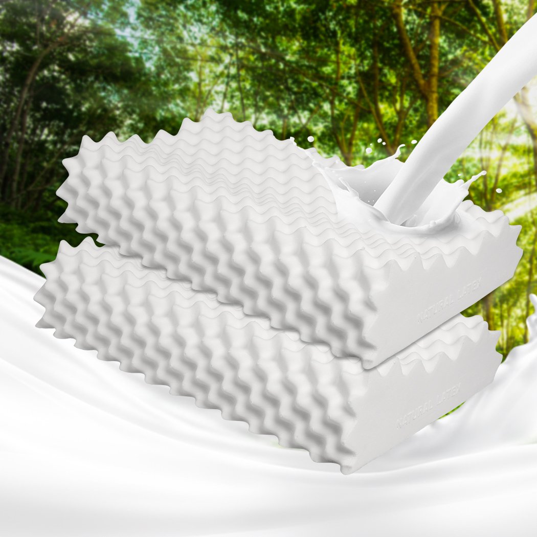 Pillows 2x Natural Latex Memory Down Pillow Removable Cover