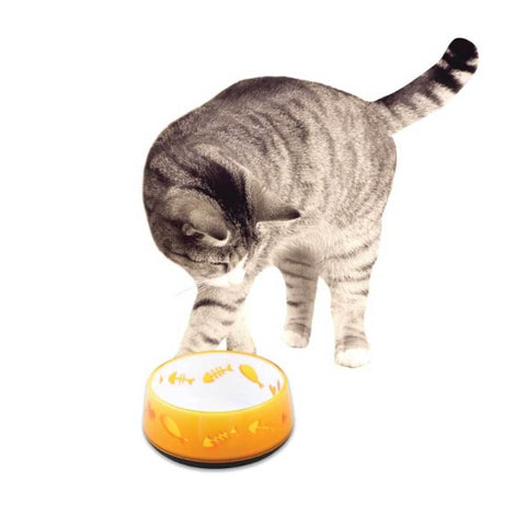 300ml Cat Bowl - Orange Kitten Pet Food Water Feeding Anti-Slip
