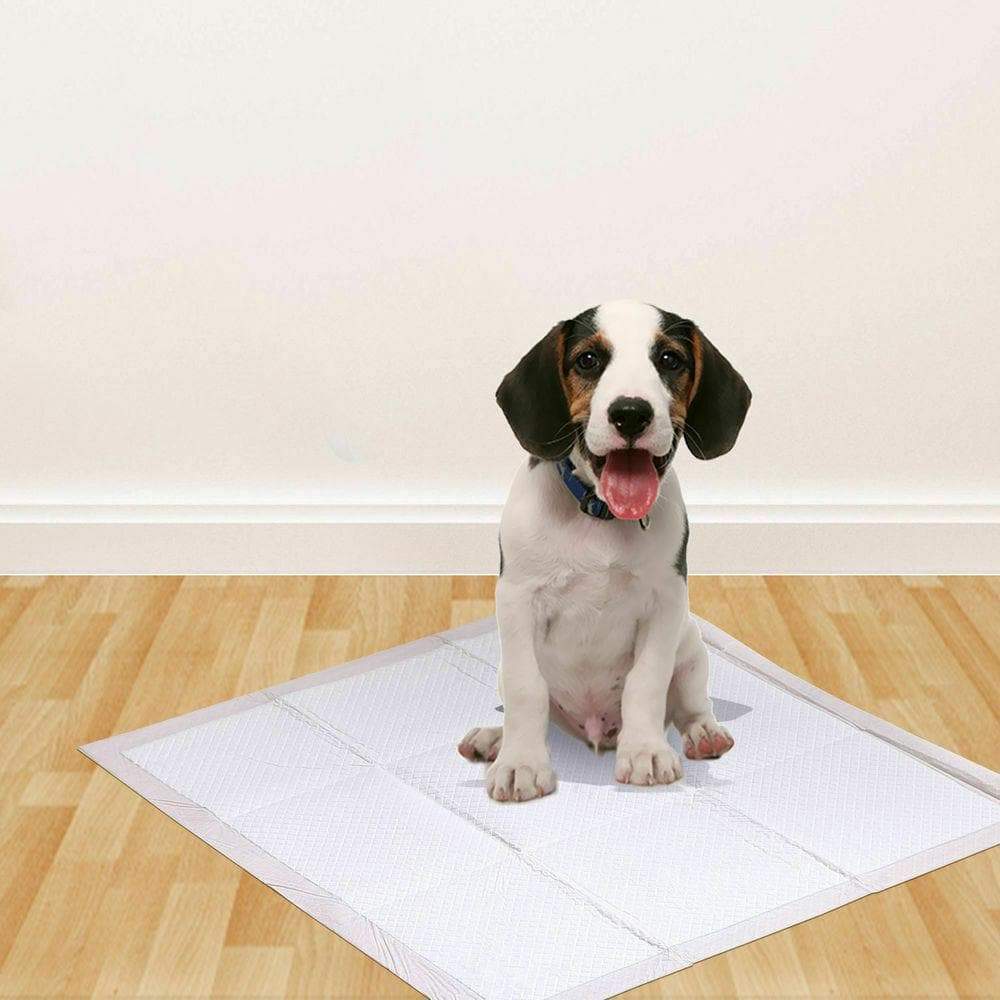 pet products 400 Pcs 60X60 Cm Pet Puppy Dog Toilet Training Pads