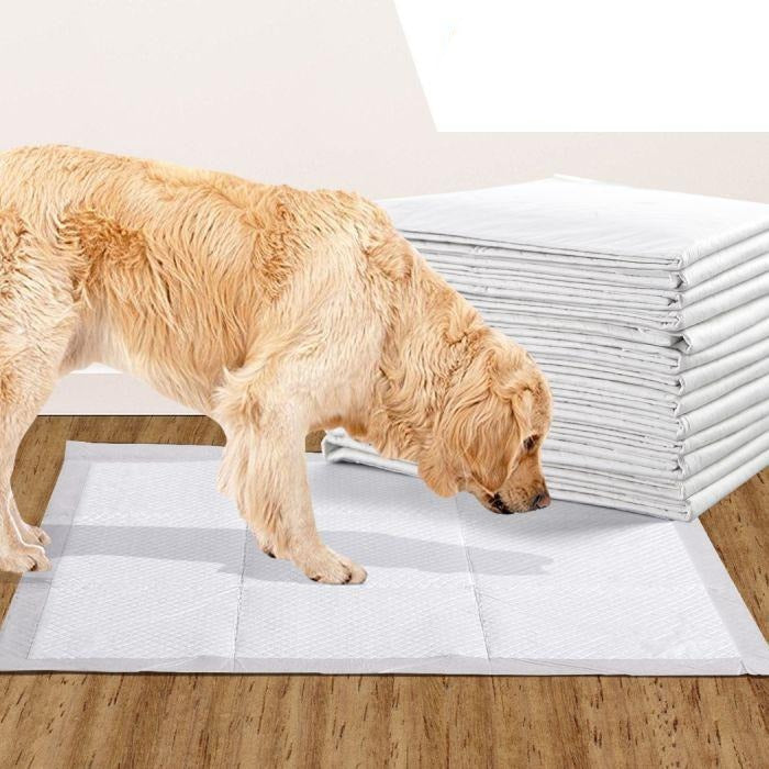 400 Pcs 60x60 cm Pet Puppy Dog Toilet Training Pads