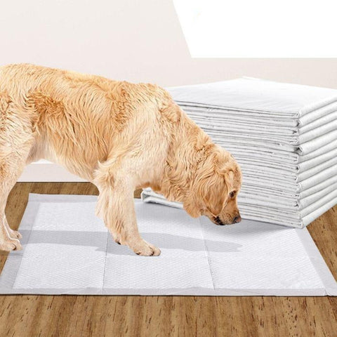 400 Pcs 60x60 cm Pet Puppy Dog Toilet Training Pads