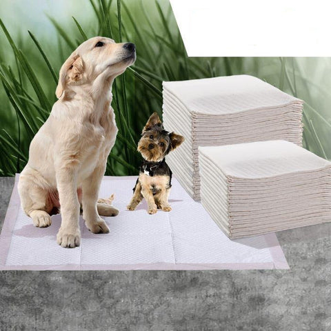 400 Pcs 60x60 cm Pet Puppy Dog Toilet Training Pads