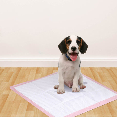 pet products 400 Pcs 60X60 Cm Pet Puppy Toilet Training Pads