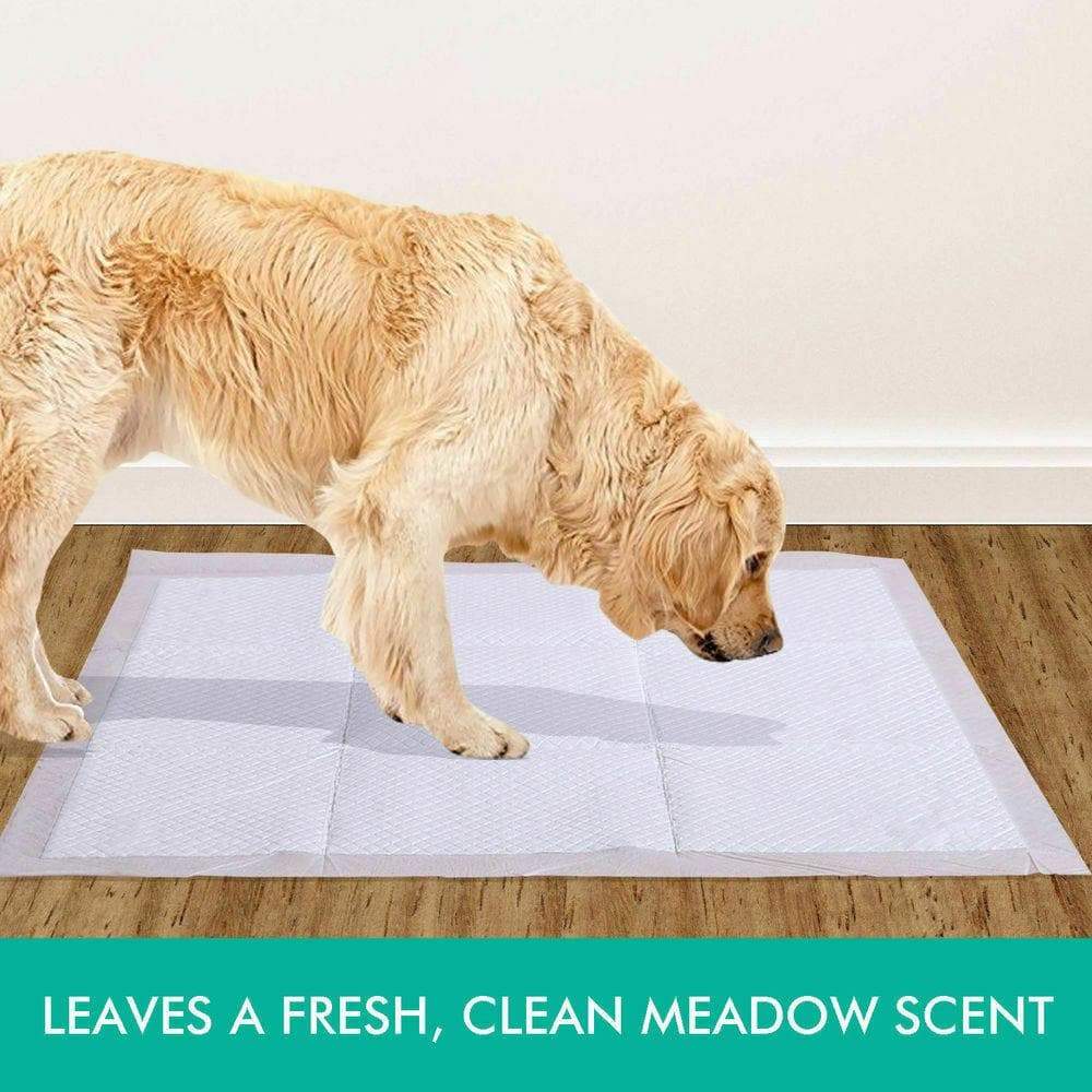 pet products 50 Pcs 60X60 Cm Pet Puppy Dog Toilet Training Pads