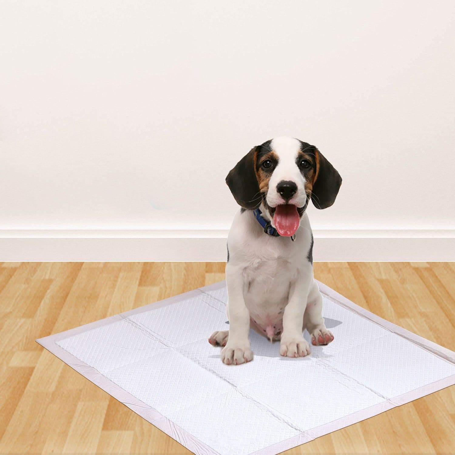 pet products 50 Pcs 60X60 Cm Pet Puppy Dog Toilet Training Pads