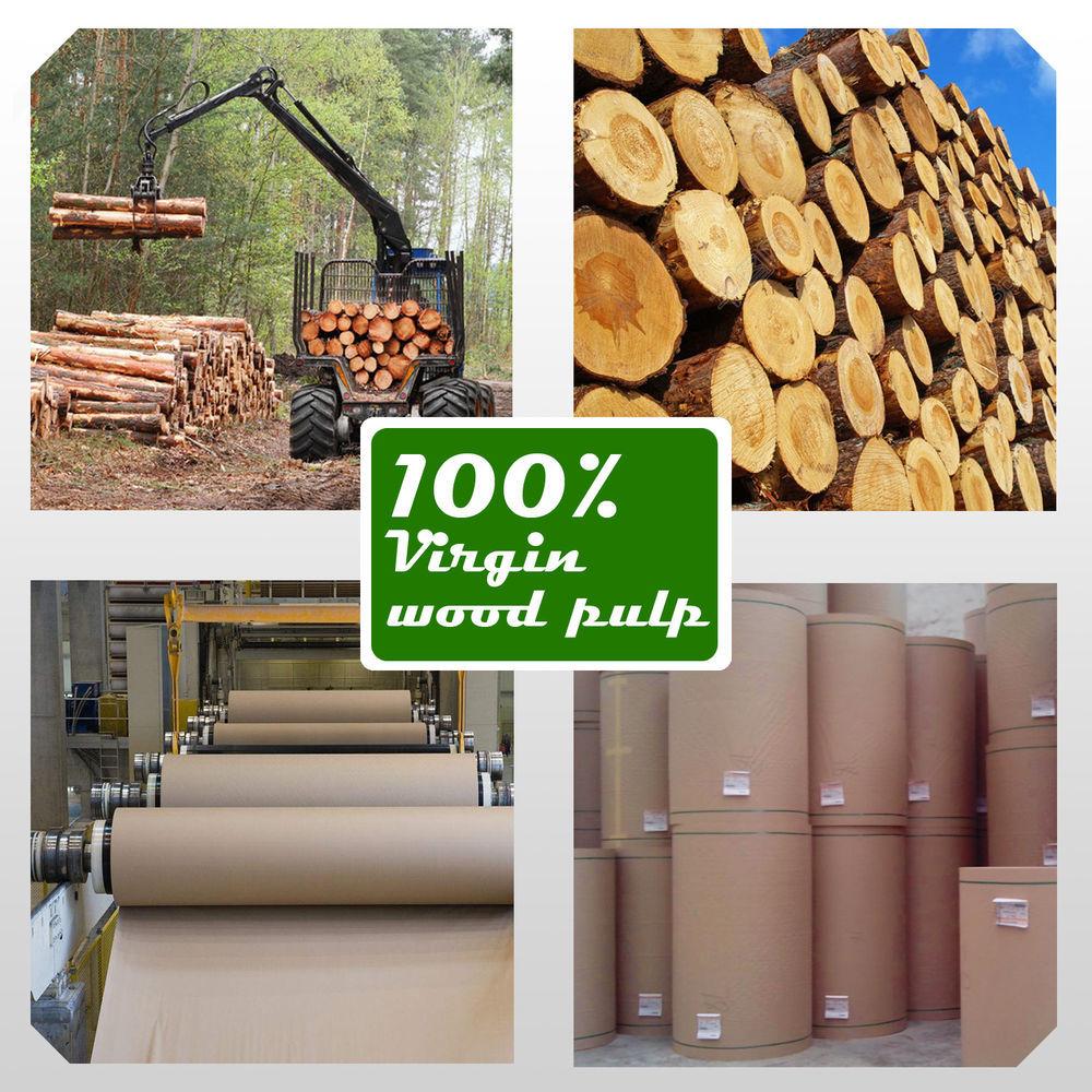 Storage & Packaging 50x Brown Paper Bag