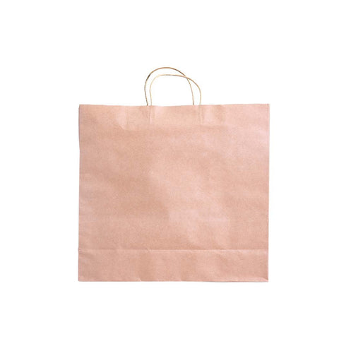 50x Brown Paper Bag Kraft Eco Recyclable