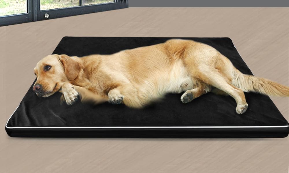 pet products 5Cm Memory Foam Orthopaedic Pet Bed Xl