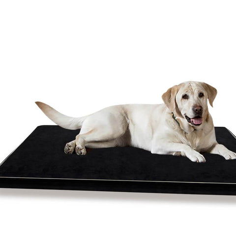 5Cm Memory Foam Orthopaedic Pet Bed Xl