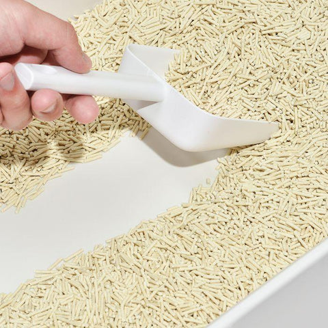 6L Edible Crystals Flushable Sand Biodegradable Mint X8