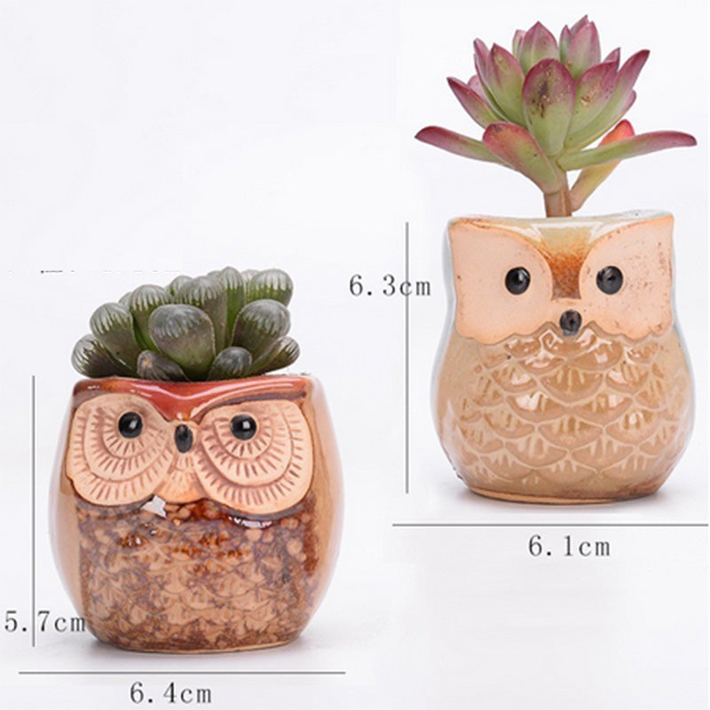 6PCS Mini Owl Plant Pots Ceramic Succulent Cactus Bonsai Flower Pots