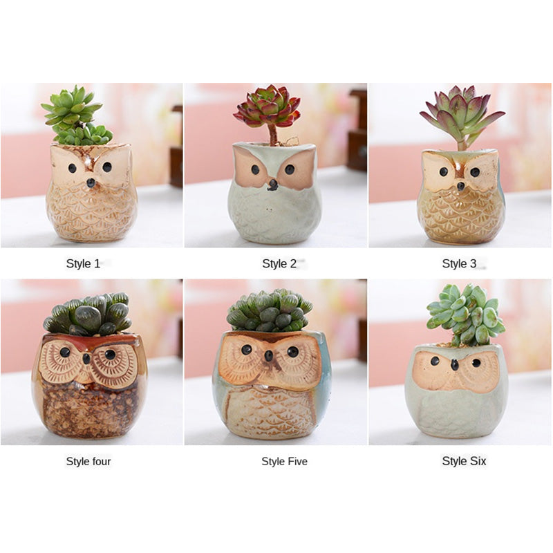 6PCS Mini Owl Plant Pots Ceramic Succulent Cactus Bonsai Flower Pots