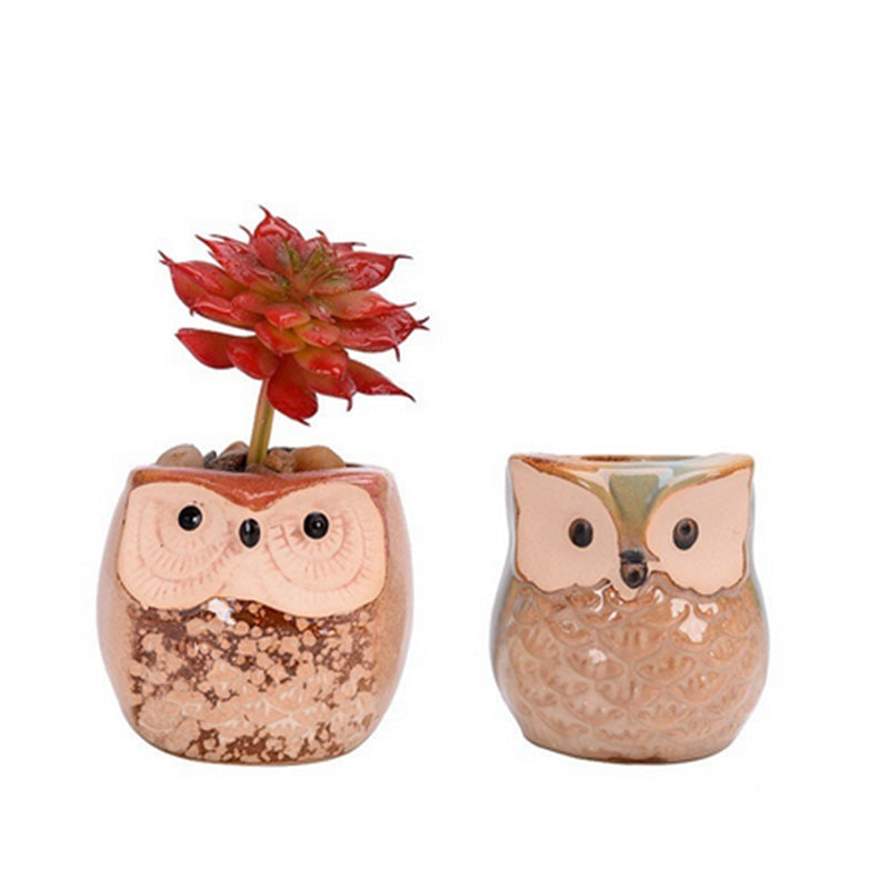 6PCS Mini Owl Plant Pots Ceramic Succulent Cactus Bonsai Flower Pots