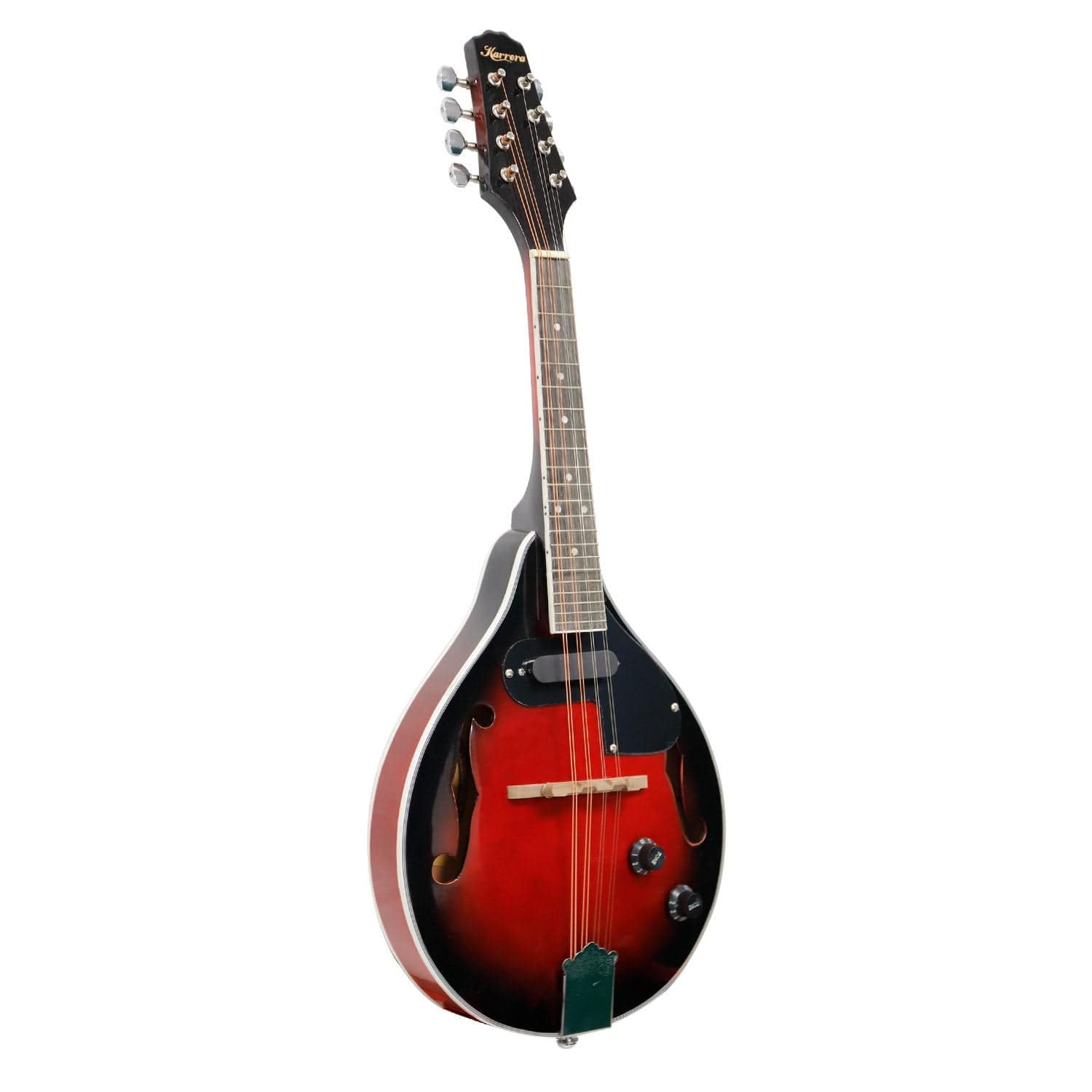 8-String Electric Mandolin