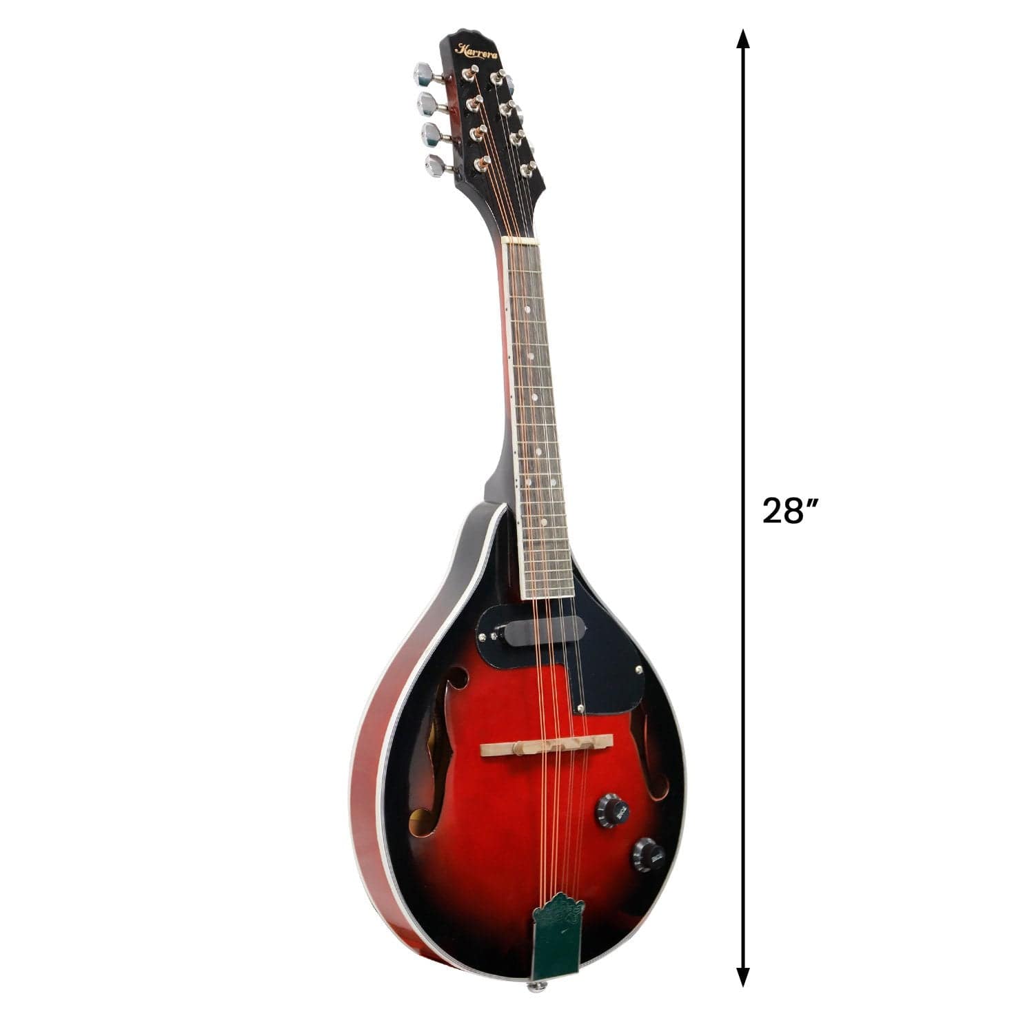 8-String Electric Mandolin