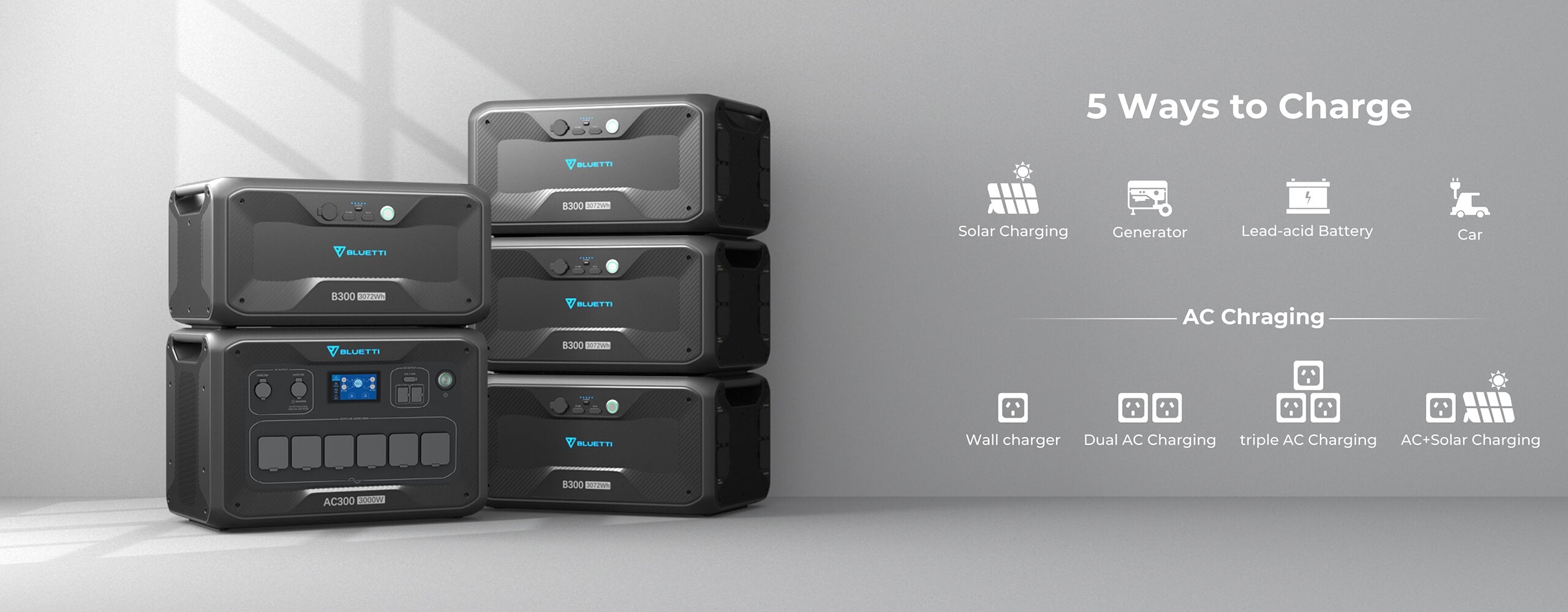 Ac300 Inverter Module Generator Only | 3,000W ( Must Work With B300 )