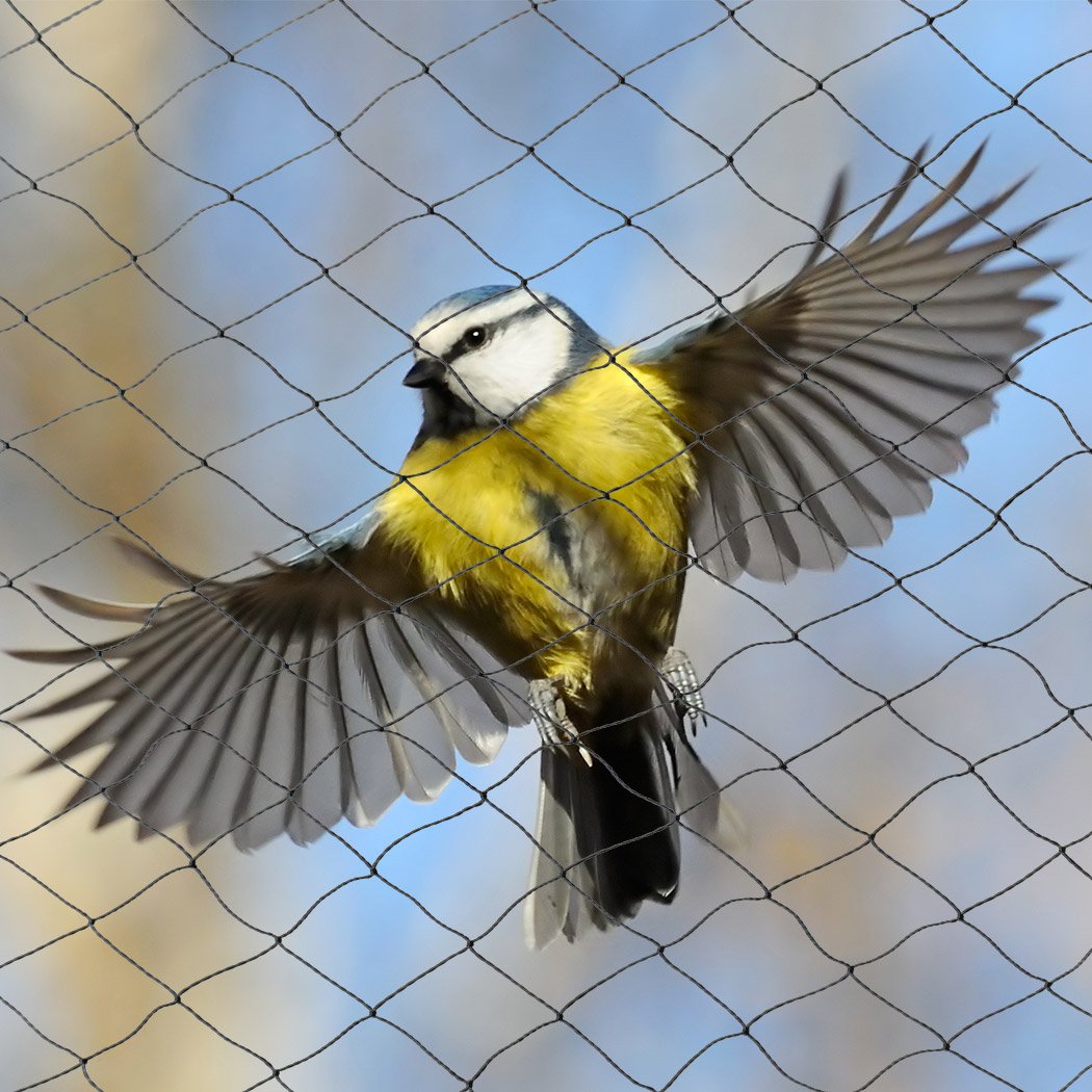 Garden / Agriculture Anti Bird Netting Pest Net 25MM