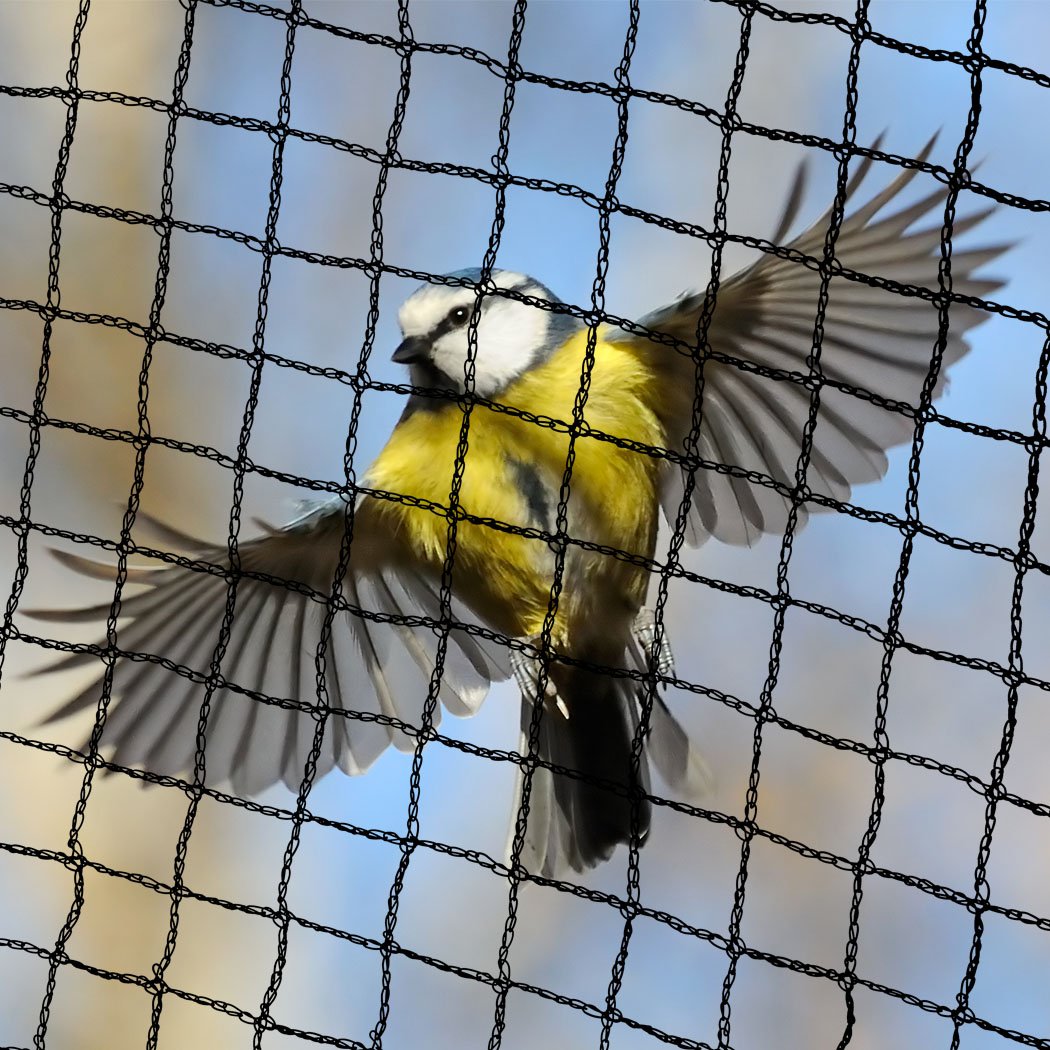 garden / agriculture Anti Bird Netting Pest Net Cover 30Gsm