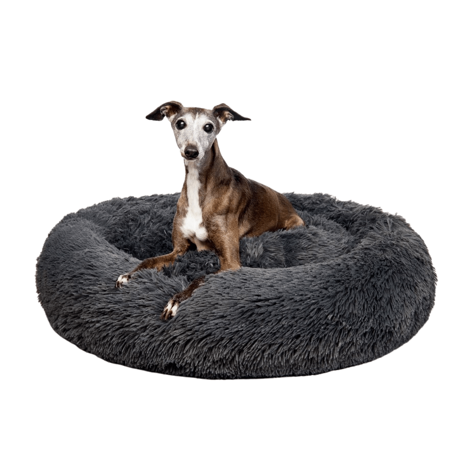 "Aussie" Calming Dog Bed - XL