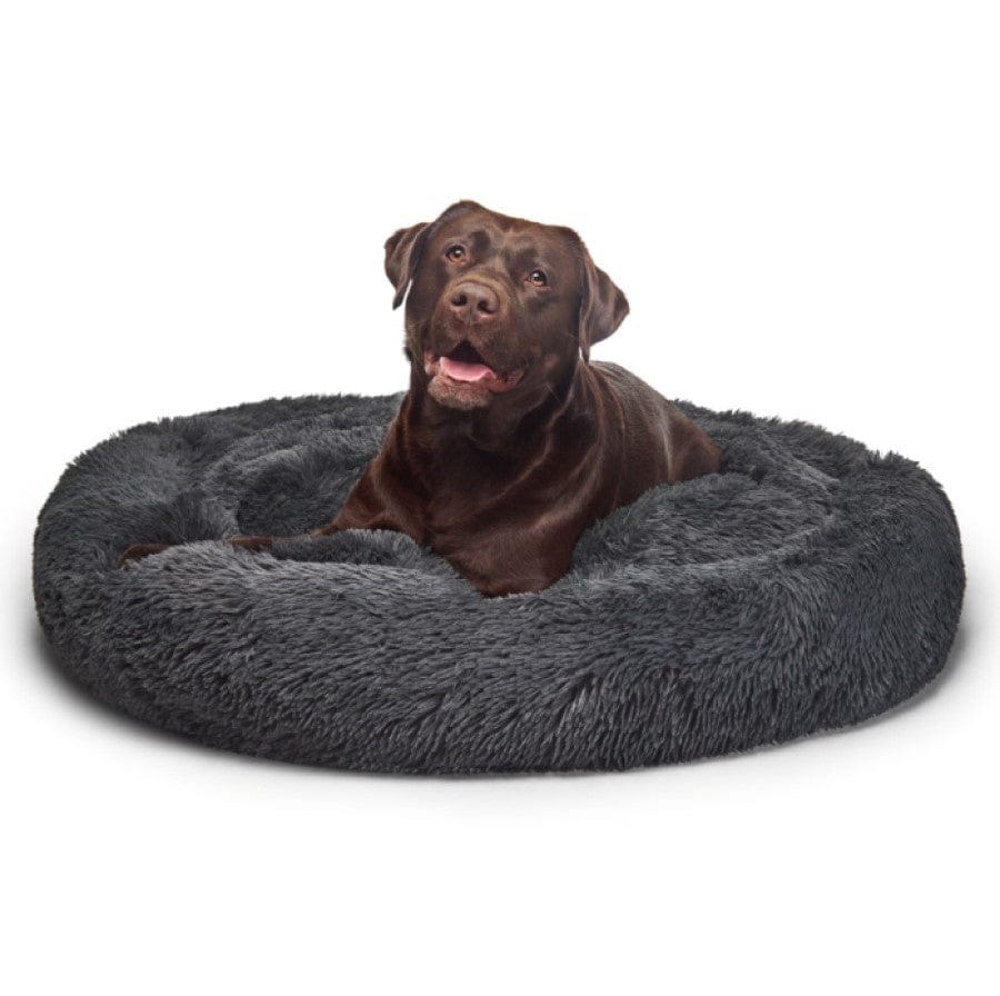 "Aussie" Calming Dog Bed - XL