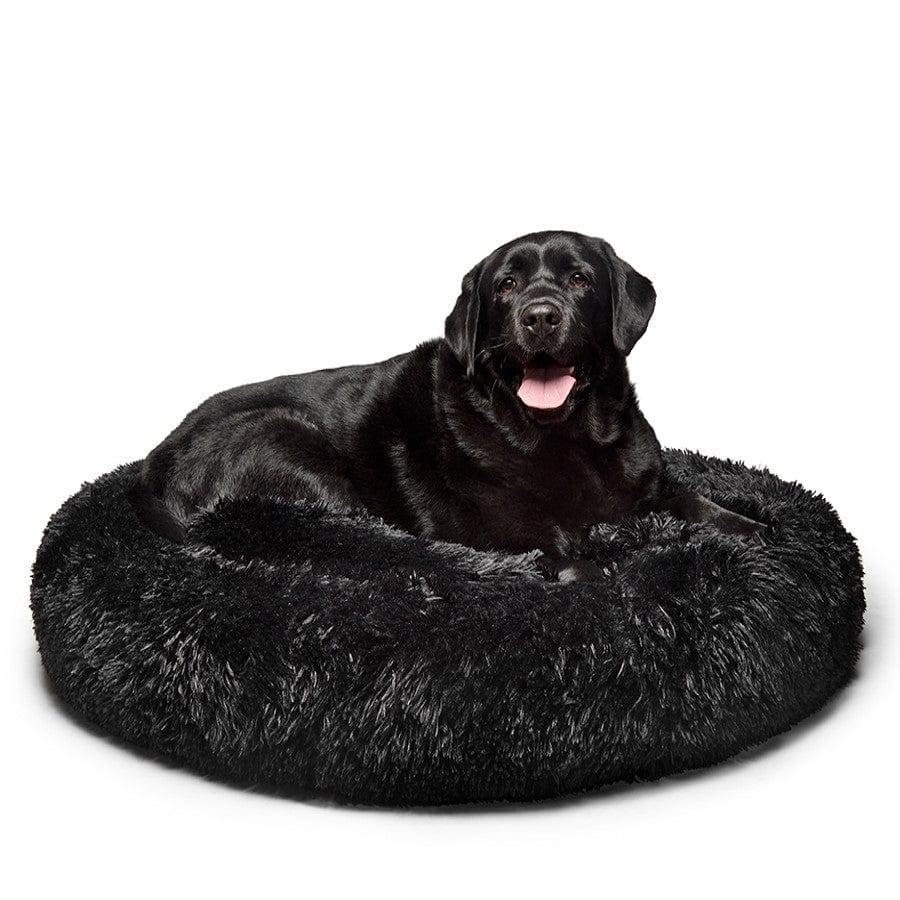 "Aussie" Calming Dog Bed - XL