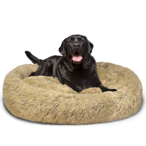 "Aussie" Calming Dog Bed - XL