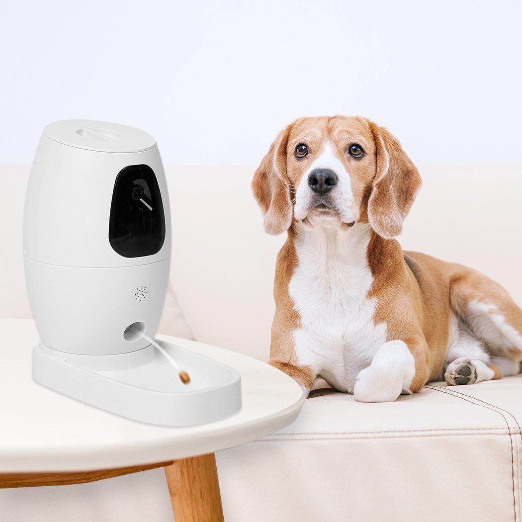 pet products Automatic pet Food Dispenser