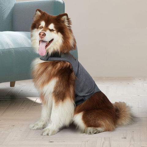 Breathable and soft Dog Thunder Anxiety Jacket XXL