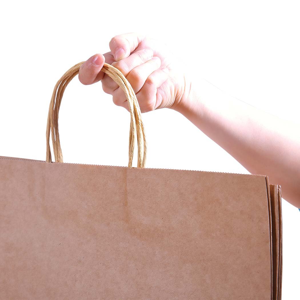 Storage & Packaging Brown Paper Bag x 50