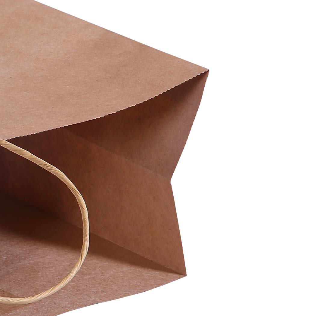 Storage & Packaging Brown Paper Bag x 50