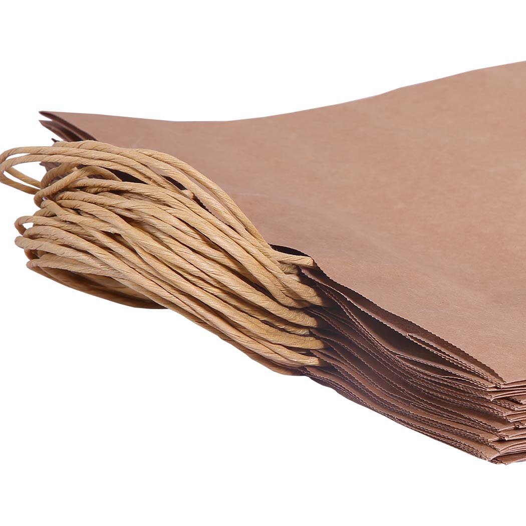 Storage & Packaging Brown Paper Bag x 50