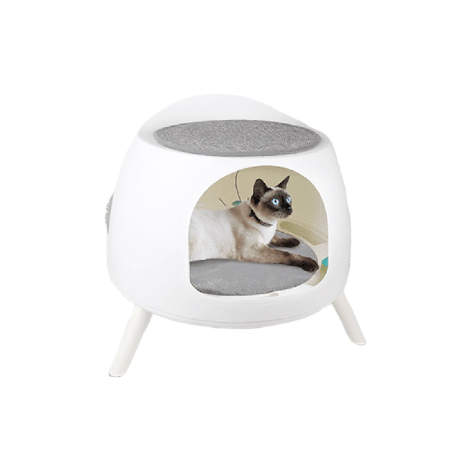 Cat Hideaway Play House with Scratcher, Grooming, and Catnip