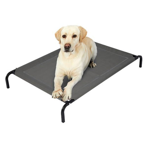 pet products Dog Sleeping Non-toxic Heavy Trampoline Grey L